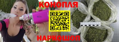 прущие грибы Рязань