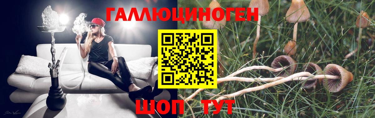 Осинники  Галлюциногенные грибы Magic Shrooms  Вход с VPN 